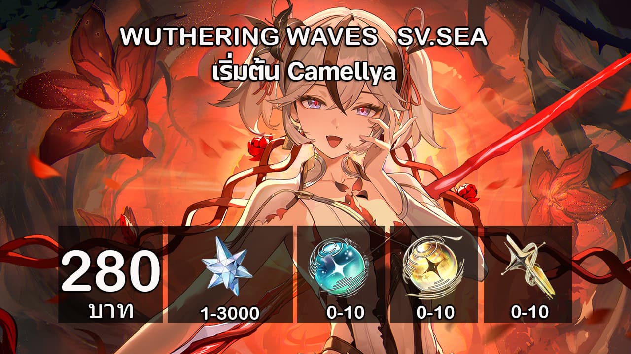 6.4.เริ่มต้นCamellya